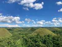 Captivating Beauty of Bohol