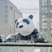 รวมจุดเช็คอินเฉิงตู เมืองแพนด้าสุดคิ้วว 🐼🍵
