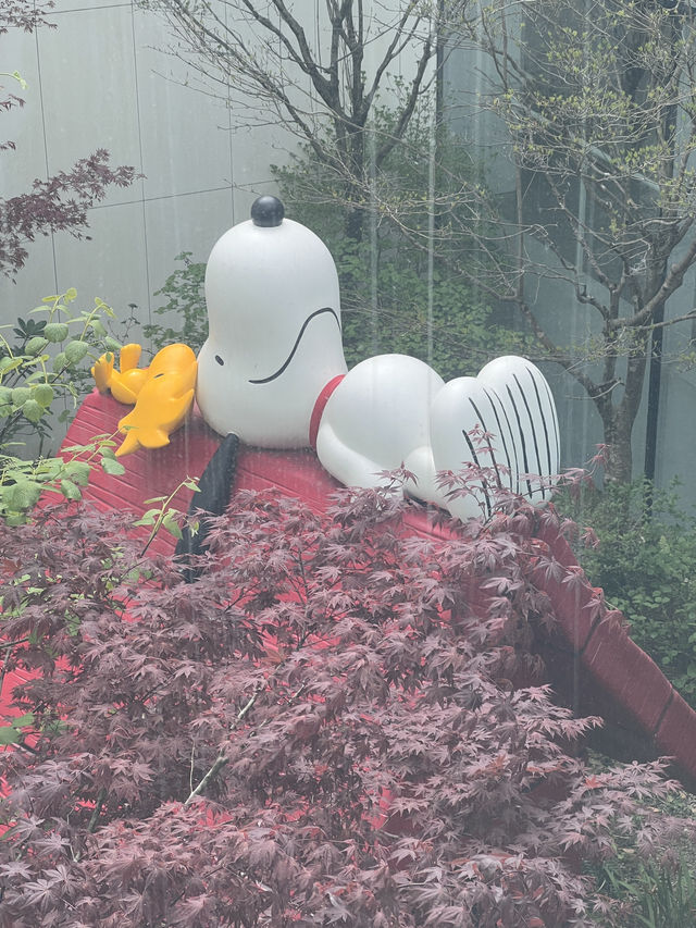 🐾제주도 여행코스 추천 스누피가든🩵🤍