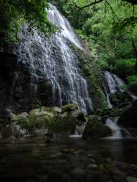 【龍双ヶ滝で心洗われる滝旅】福井の秘境でマイナスイオン全開🌿💧