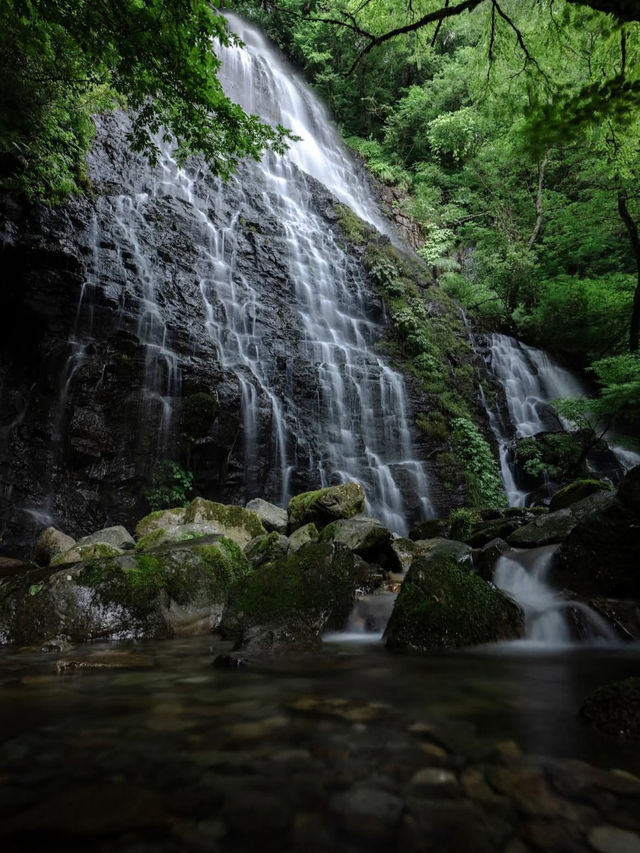 【龍双ヶ滝で心洗われる滝旅】福井の秘境でマイナスイオン全開🌿💧