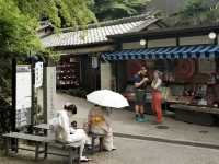 Riding the Eizan Electric Railway: A Day of Green Serenity in Kyoto 🍃🚃