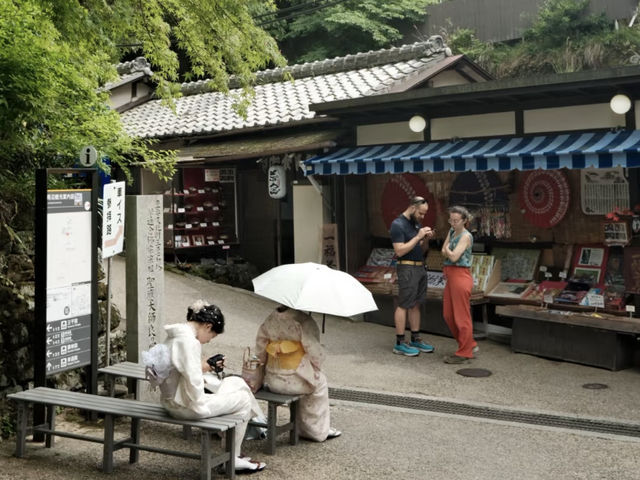 Riding the Eizan Electric Railway: A Day of Green Serenity in Kyoto 🍃🚃