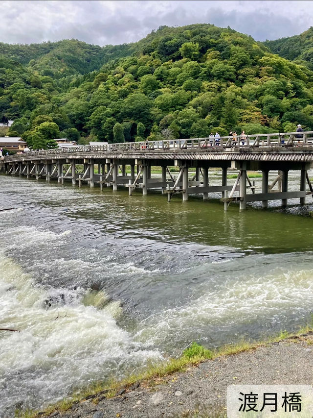 [京都]嵐山おすすめ7選✨コスパタイパ最強