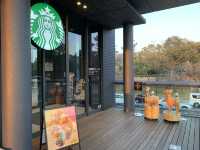 🌸 Coffee & Sakura Vibes at Starbucks Nara Park Bus Terminal