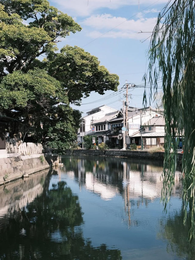 【水の都で癒しのひととき🌿】【水の都で癒しのひととき🌿】柳川の川下りで心ほどける旅の川下りで心ほどける旅