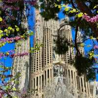 🇪🇸 西班牙｜聖家堂 La Sagrada Família