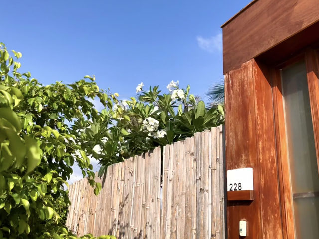 Vietnam's Hidden Paradise: Fusion Resort Cam Ranh — I Didn't Want to Go Home! 🇻🇳💆‍♀️