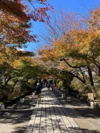 【紫式部も愛した絶景寺院🌸】石山寺で文学と自然の旅📖🍁