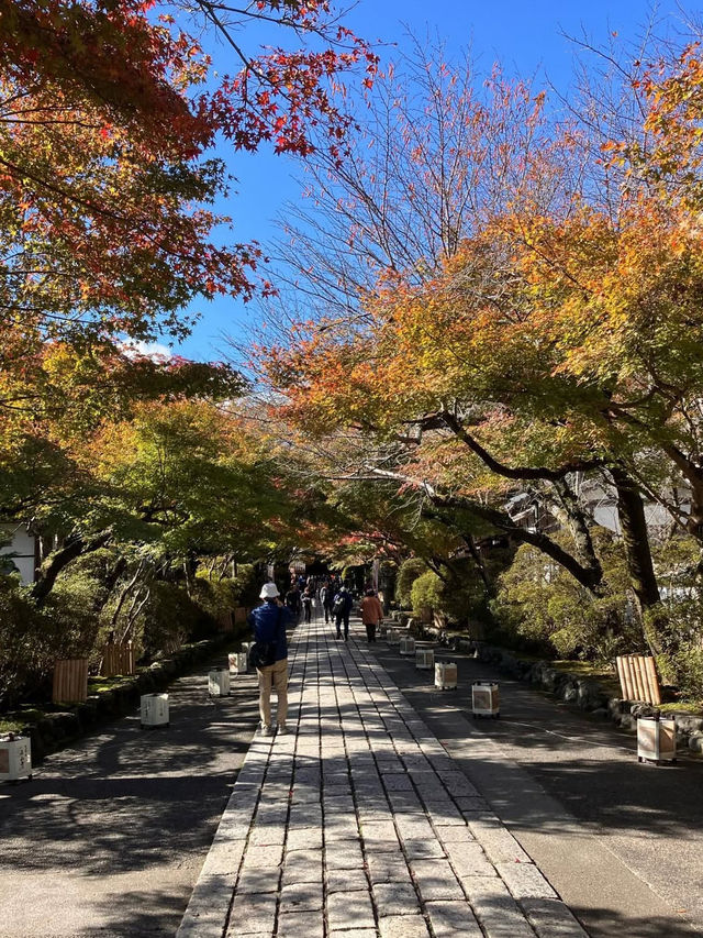 【紫式部も愛した絶景寺院🌸】石山寺で文学と自然の旅📖🍁