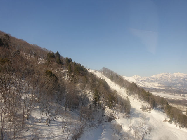 ❄️ Snowy Peaks & Scenic Treats: A Family Day Out at Hakuba Mountain Harbor