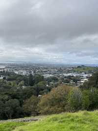 🏞️奧克蘭最高城市視角｜伊甸山 Mt Eden 🌋城市與火山的靜默對話