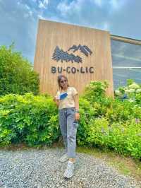 BU-CO-LIC khao yai