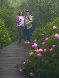 ภูหินร่องกล้าหน้าฝน สวยตะลึง