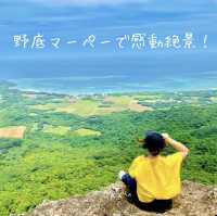 📸本当におすすめ！石垣島の映えスポットツアー🌺🐠