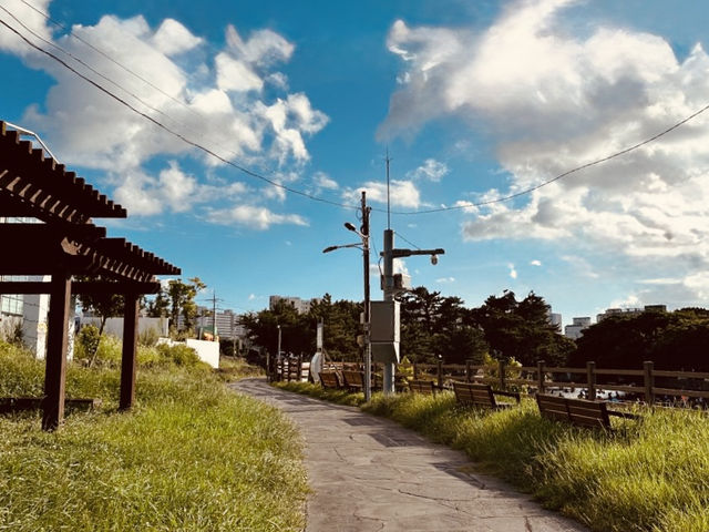 A Convenient Green Oasis Near Jeju City