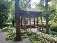 🌿☀️ Slow down and soak up the vibes at Chengdu People’s Park 人民公园