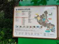 🎋【成都｜大熊貓基地】🐼 熊貓控的天堂 × 私人導覽超值推薦 × 捐款還送限量熊貓娃娃！