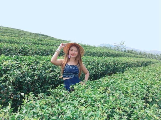ไร่ชา 101 ดอยแม่สลอง