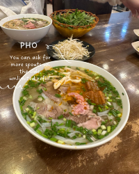[Vietnam 🇻🇳] Pho, Pork Buns & Da Nang's Pink Church!