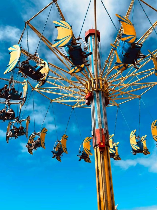 🎢🐬 Ocean Park Hong Kong – Wild Rides, Cute Creatures & Ocean Views! 🌊🐼