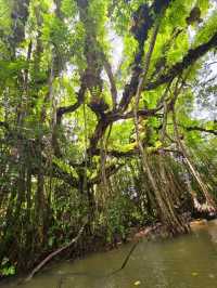 Jungle Cruise