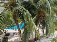 ibis Phuket Patong โรงแรมราคาดีป่าตอง 