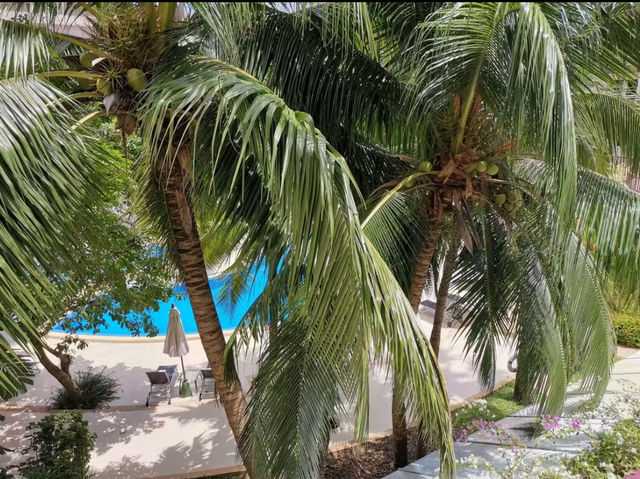 ibis Phuket Patong โรงแรมราคาดีป่าตอง 