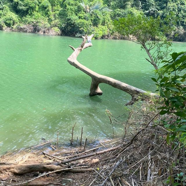Ba Be Lake (Bac Kan)