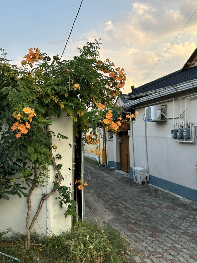 경주 국내여행