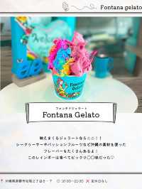 国際通り夏グルメ９選🍨🌺