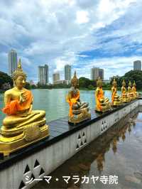 🇱🇰 スリランカ旅行記 • VOL.2