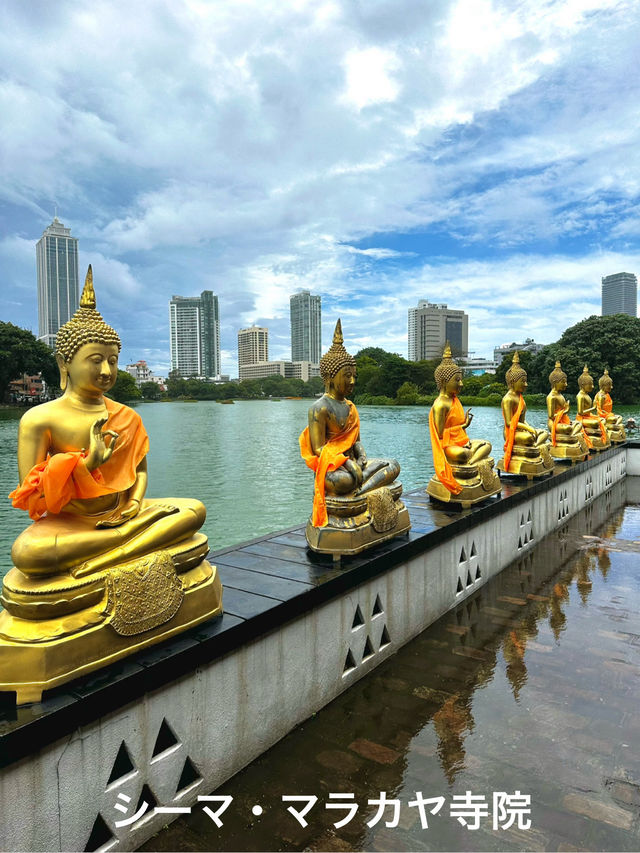 🇱🇰 スリランカ旅行記 • VOL.2