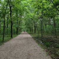 Chickasaw National Recreation Area – Sulphur, OK