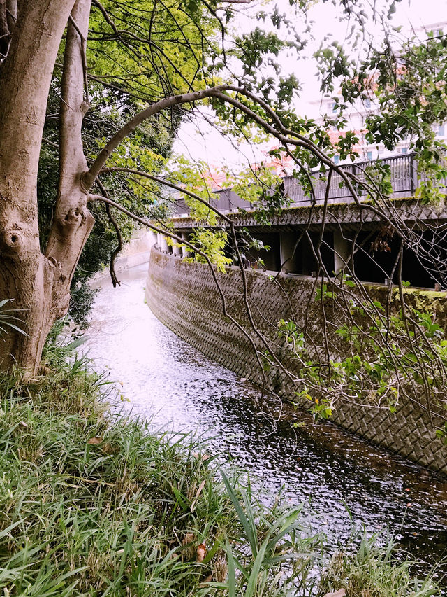 【東京　中野　哲学堂公園 】