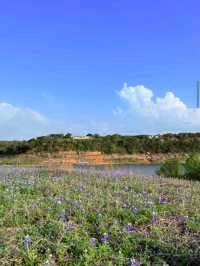 Muleshoe Bend Recreation Area