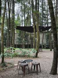 Teduh Coffee