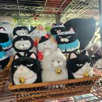 ภูเขาไฟที่ยังครุกรุ่นในญี่ปุ่น
