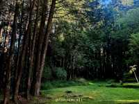 Alishan
