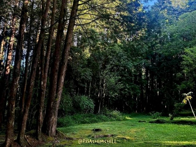 Alishan