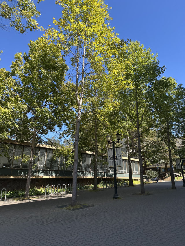 UC Berkeley加州大學柏克萊分校 | 公立名校朝聖之旅 🐻