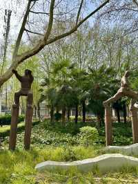 Beyond the Museum Walls: A Morning Stroll at Wenbo Park