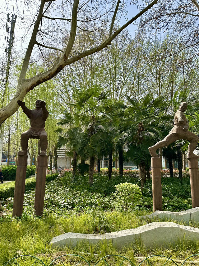 Beyond the Museum Walls: A Morning Stroll at Wenbo Park