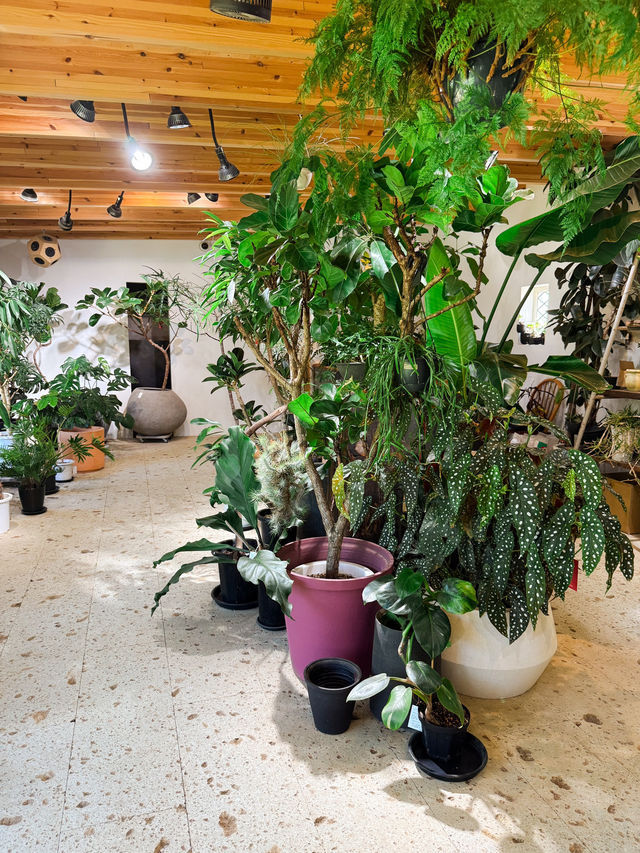 【兵庫】お花に囲まれて深呼吸。retesで心を整える時間🌿☕️