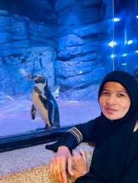 Aquaria Phuket พิพิธภัณฑ์สัตว์น้ำที่ใหญ่ที่สุด