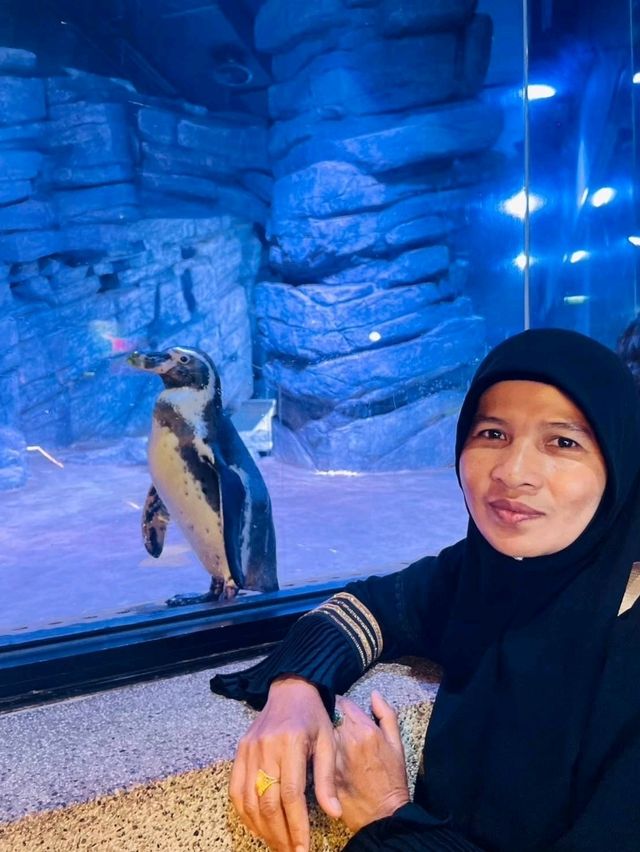 Aquaria Phuket พิพิธภัณฑ์สัตว์น้ำที่ใหญ่ที่สุด