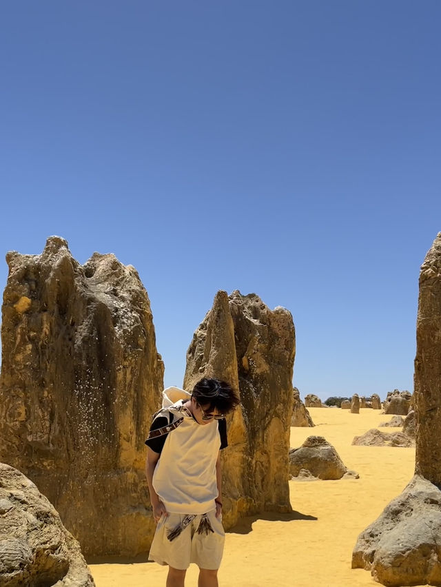 🪨 Pinnacles Desert – Western Australia’s Alien Landscape 🌌🛸