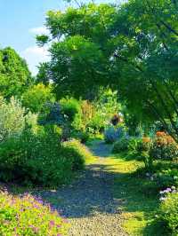 💐Mengcheng Garden, Kunming – A Dreamy English Flower Wonderland You Must Visit!