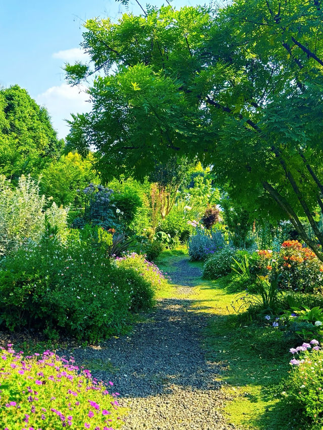 💐Mengcheng Garden, Kunming – A Dreamy English Flower Wonderland You Must Visit!