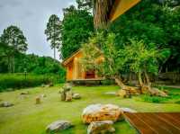 Tree Stone House